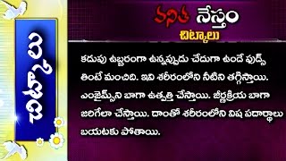 Tips for Indigestion Dyspepsia Daily Health Tips  Chitkalu  Vanitha Nestham  Vanitha TV [upl. by Meehyrb]