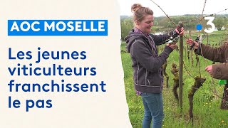 AOC Moselle  de jeunes viticulteurs sinstallent [upl. by Yuma]