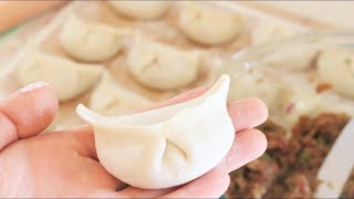 How to Make Chinese Dumplings From Scratch [upl. by Jennings697]