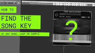 How to find the SONG KEY of ANY sampleloopsong [upl. by Isyad330]