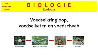 Biologie  Ecologie  Voedselkringloop voedselketen en voedselweb [upl. by Bekki]