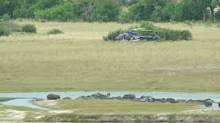 Helikoptervlucht Okavango Delta Botswana 1 [upl. by Scoles]