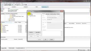 Export amp Importing FileZilla Settings [upl. by Ahtivak]