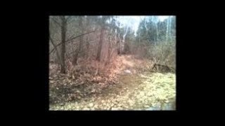 Extraordinary Bigfoot Footage [upl. by Grote2]