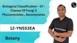 Biological Classification  07  Classes Of Fungi  Phycomycetes  Ascomycetes [upl. by Elene]