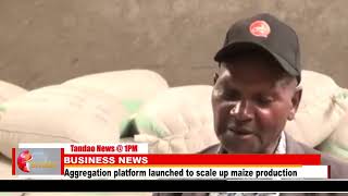 AGGREGATION PLATFORM LAUNCHED TO SCALE UP MAIZE PRODUCTION [upl. by Sirrot159]