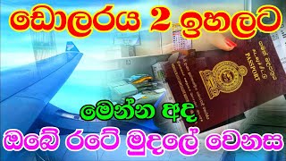 USD rate today Airport banks in Katunayake airport Sri Lanka 12th September 2024 [upl. by Hadley]