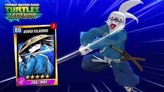 Usagi Yojimbo The 80th Level  Teenage Mutant Ninja Turtles Legends [upl. by Uzziel]