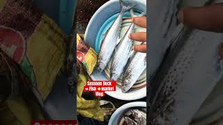 Sassoon Dock Fish Market  seafood fish fishfarming [upl. by Madaih624]