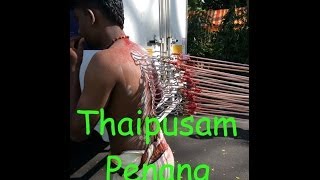 Thaipusam 2014 Penang 2 [upl. by Aicatan]