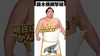 大相撲春場所 錦木が照ノ富士を撃破‼️ [upl. by Jerrylee]