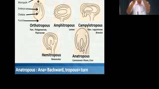 Botany BSc Flower System PistilOvules amp Megasporogenesis by Dr Ajay Kumar Bharadwaj on 260315 [upl. by Tomlin]