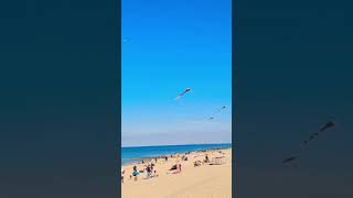 Portraits of Domburgs Beach Zeeland Netherlands Please subscribe amp see my long video thanks😃 [upl. by Aienahs4]