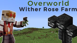 How to make a Wither Rose Farm in the Overworld [upl. by Meghann]