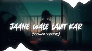 JANE WALE LAUT KAR SONG SLOWED REVERB HINDI SONG 187 [upl. by Akihsar10]