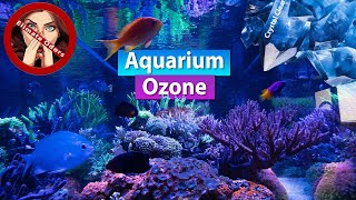 Aquarium Ozone  Smell Remover Crystal Clear water and rid Toxins [upl. by Stern667]