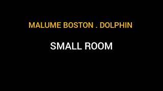 SMALL ROOM MP3 MALUME BOSTON [upl. by Allekram304]