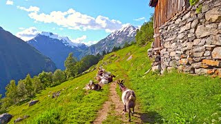 Walking around Geiranger most beautiful Village of Norway [upl. by Ahseka112]