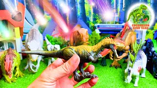 Cocomelon Dino Vlog Epic Monolophosaurus Spinosaurus TRex IRex Sinotyrannus Atrociraptor [upl. by Akkin]