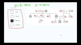 GCSE Biology  DNA Part 1  Genes and the Genome 63 [upl. by Aseeral]