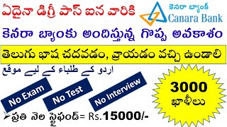 canara bank recruitment 2024  canara bank apprentice recruitment apply  after degree bank jobs [upl. by Joann]