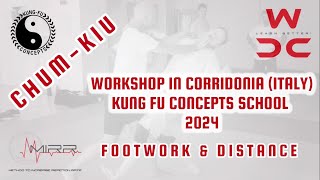 WING CHUN FOOTWORK AND DISTANCE [upl. by Enidan840]