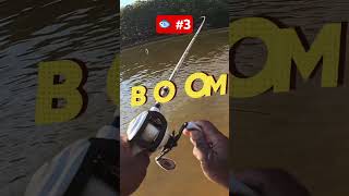 3 FISH BEST DAY catchinbass bassfishing catchingbass fishing bassfish bass fishing bass [upl. by Ellenor]