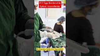 IVF Egg Retrieval Procedure in Spinal Anaesthesia by Dr Rakshita Malik doctor mbbs gynaecologist [upl. by Aderfla]