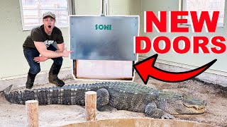 I Built Automatic Doors For My Alligators [upl. by Noorah]