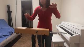 Star Trek Original Theme in Theremin [upl. by Deste]