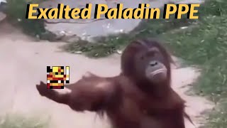 Top 100 Exalted Paladin PPE  RotMG [upl. by Eliott925]