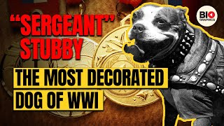 quotSergeant Stubby The Most Decorated Dog of WWI [upl. by Suiravad153]