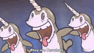 The Nawhals Song [upl. by Zzaj702]