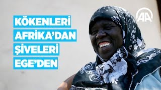 Kökenleri Afrikadan şiveleri Egeden [upl. by Aihsyt828]