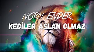 Norm Ender  Kediler Aslan Olmaz Sözleri  Lyrics APRICITAS [upl. by O'Neil]