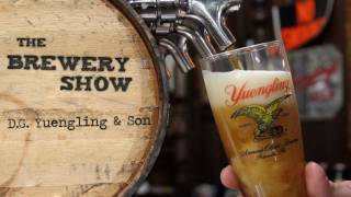 Yuengling Brewery  Brewery Show [upl. by Thomasin356]