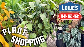 Peaceful Plant Shopping Day at Lowes amp HEB 🌿 [upl. by Parrish]