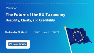 Future of EU Taxonomy Webinar [upl. by Ellives955]