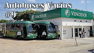 Autobuses varios 9 [upl. by Lanni]