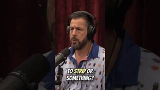 Joe Rogan Loves Adam Sandler Movies PART 2 joerogan podcast adamsandler movie parody comedy [upl. by Holmen167]