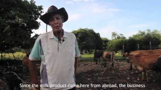 Jamaican Dairy Farmers Cant Sell Product [upl. by Proudman]