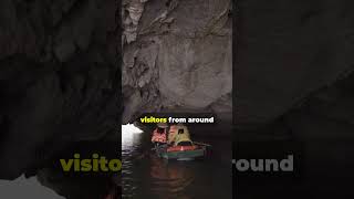 Discover the Underground River Palawan Philippines shorts palawan [upl. by Ecnaralc]