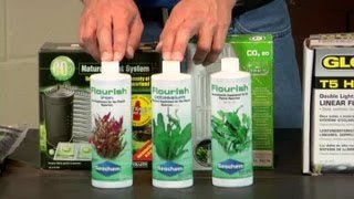 What Can I Add to a Freshwater Fish Aquarium to Accelerate Plant Growth  Aquariums amp Fish Tanks [upl. by Bunni]