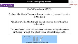 A Level Biology  5153  Investigating Tropisms [upl. by Feucht]