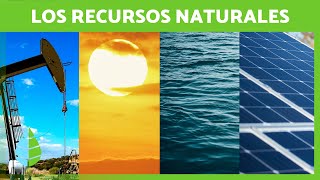 ¿Qué son los RECURSOS NATURALES ☀️💧 Definición Clasificación y Ejemplos [upl. by Dlaniger]