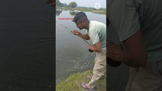 Amazing big fish catch fishing fish vlog highlight fishinf trip and tricks [upl. by Lenra]