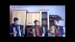 Enej  Symetryczno Liryczna Crazy Accordion Trio Cover [upl. by Enyledam]