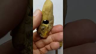 Exploring Ancient Mayan Pottery Effigy Artifacts  3 Piece Collection AncientArtifacts History [upl. by Kiley]