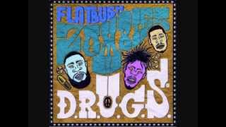 Flatbush Zombies  Intro DRUGS [upl. by Tabb]