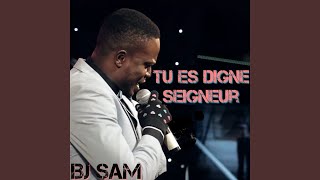 Tu Es Digne Seigneur Instrumental [upl. by Tully]